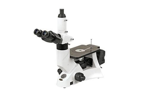 microscope to measure thickness|linear measurements for microscopes.